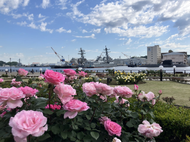 ヴェルニー公園